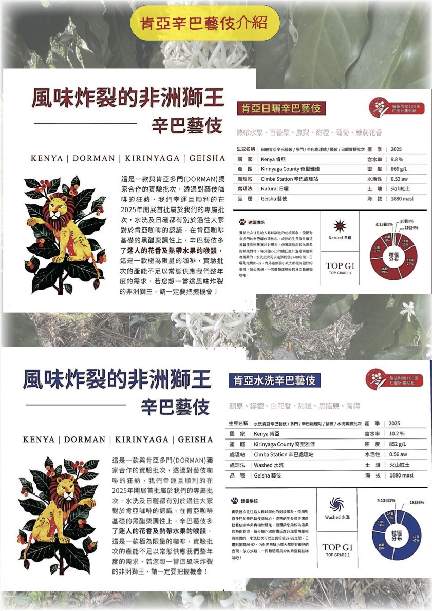 肯亞辛巴藝伎介紹