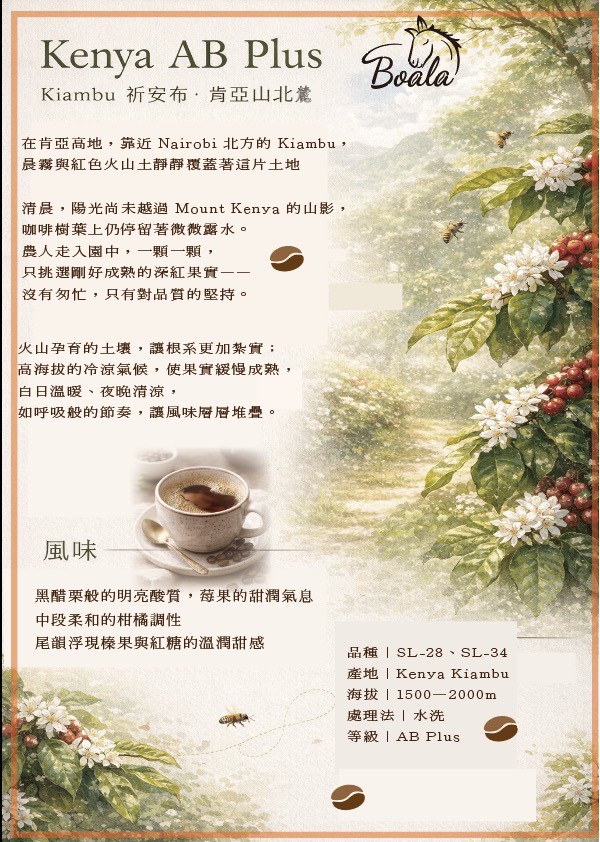 博樂咖啡—肯亞 AB Plus